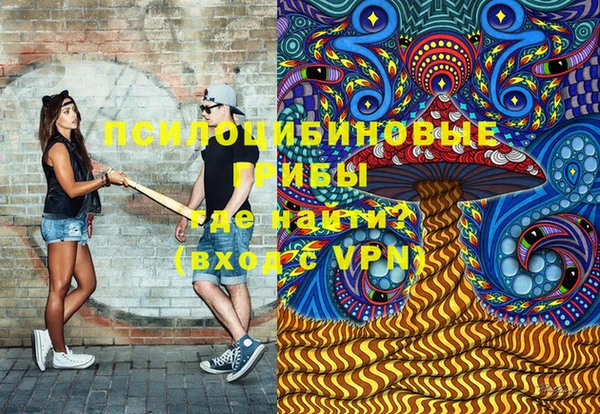 сатива Заволжье
