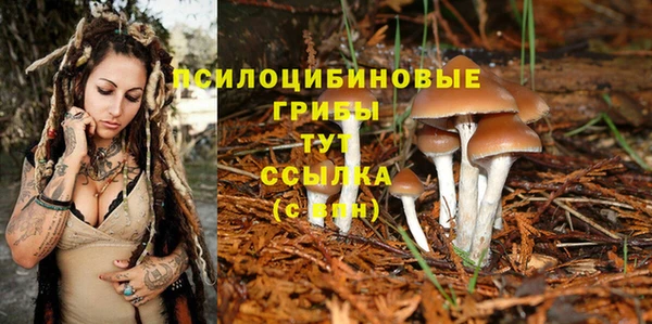 кокаин перу Заводоуковск