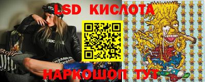 шишки Будённовск