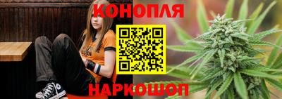 шишки Будённовск