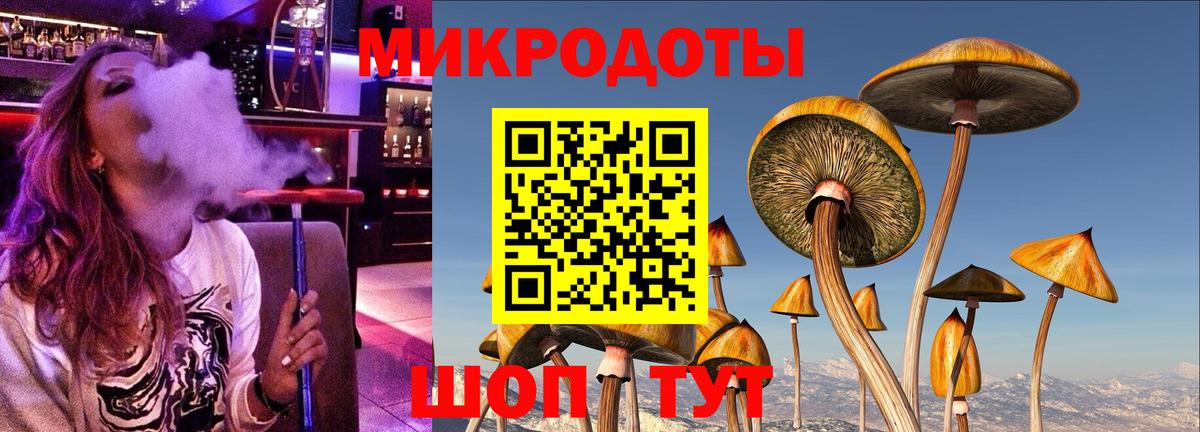 Псилоцибиновые грибы прущие грибы Воркута