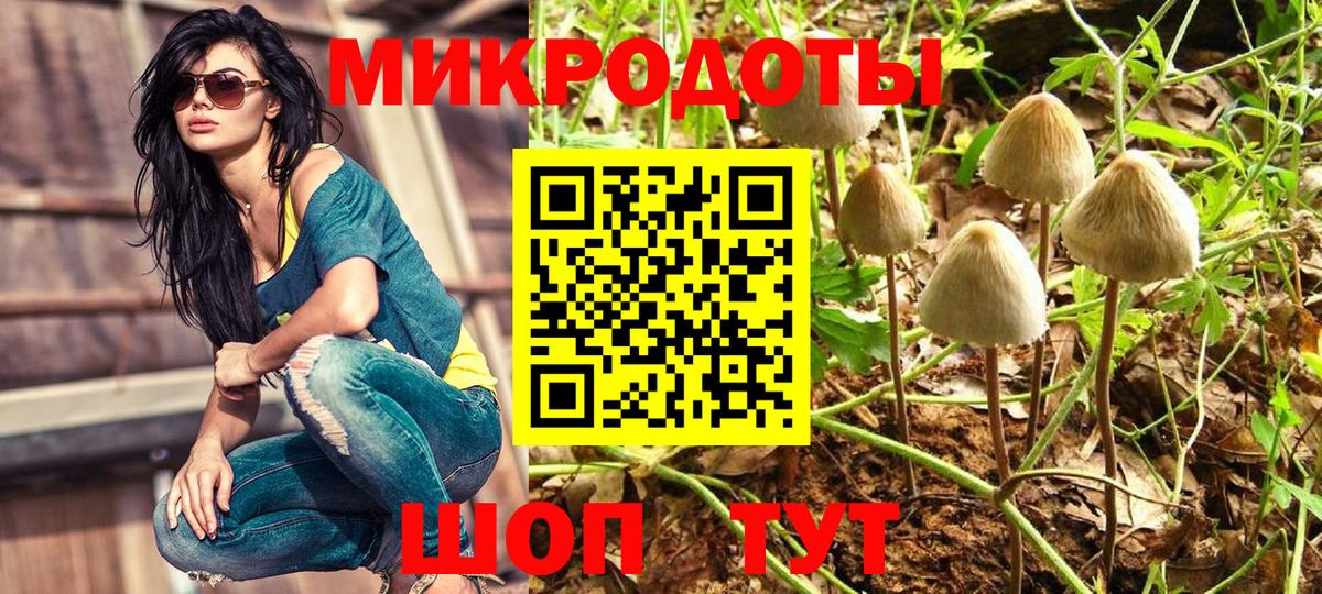 Псилоцибиновые грибы GOLDEN TEACHER Воркута